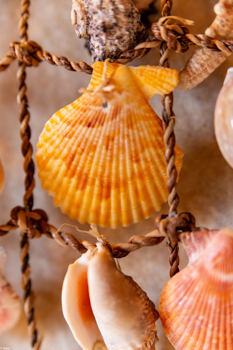  romantic shelves - gallery house